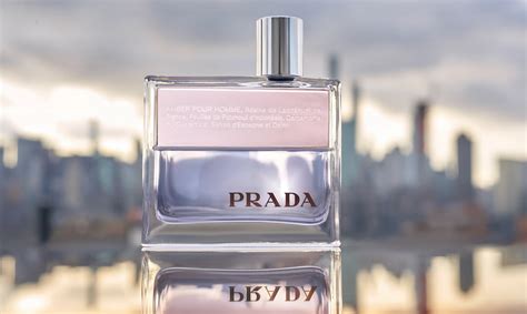 prada amber alternative|Prada amber pour homme review.